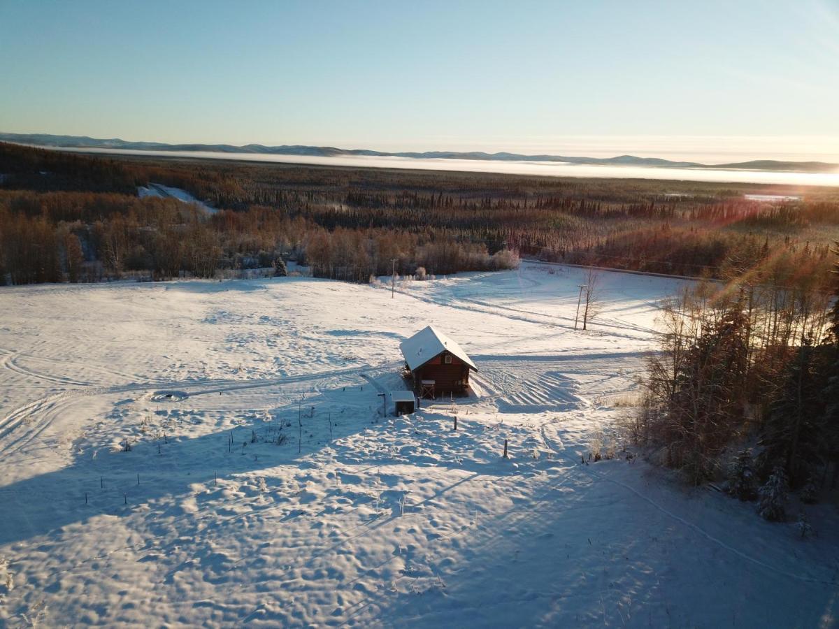 Secluded Log Cabin, 30 Min From Chena Hot Springs Pleasant Valley Exterior photo