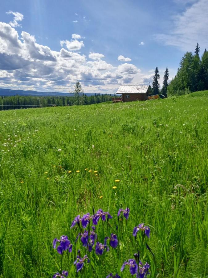 Secluded Log Cabin, 30 Min From Chena Hot Springs Pleasant Valley Exterior photo
