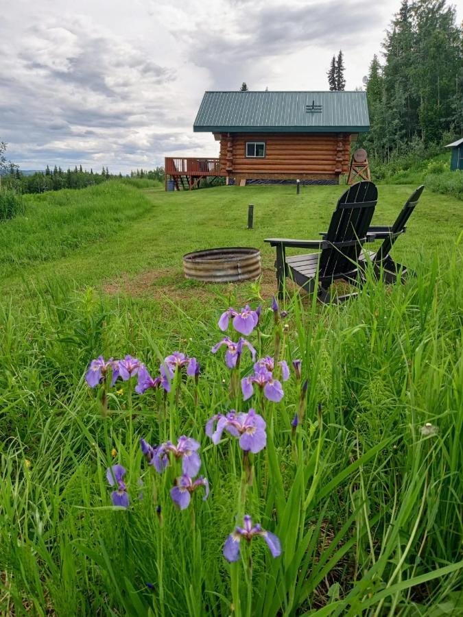 Secluded Log Cabin, 30 Min From Chena Hot Springs Pleasant Valley Exterior photo