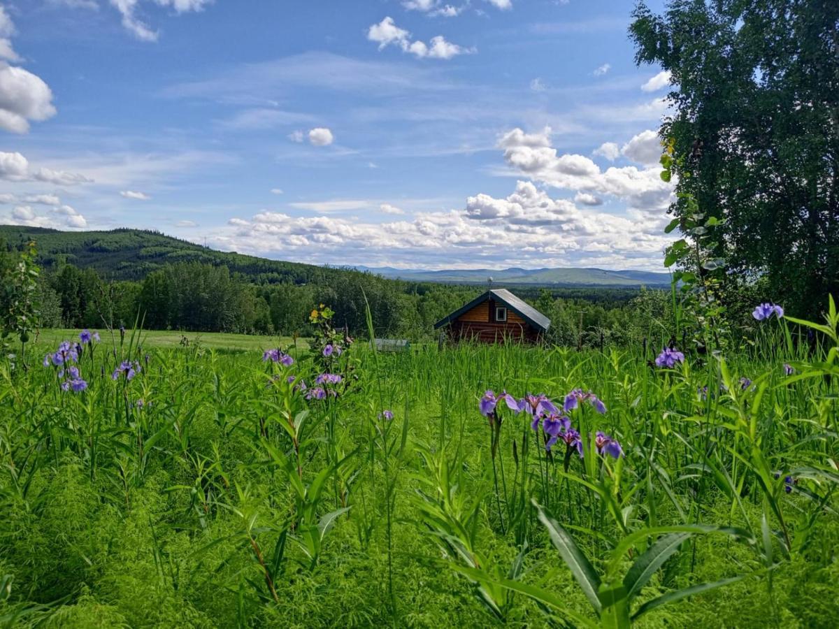 Secluded Log Cabin, 30 Min From Chena Hot Springs Pleasant Valley Exterior photo